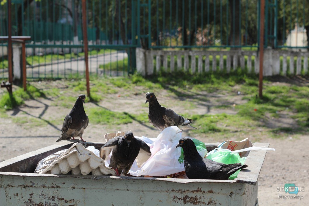 В Днепре на Красном Камне мусорные баки переполнены отходами (ФОТО) - рис. 3