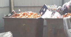 "Лучше бы людям раздали": в Днепре массово выкидывают мандарины (ФОТО) - рис. 9