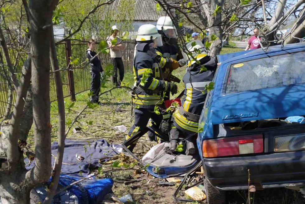 В Днепровском районе спасатели доставали водителя, на которого упало дерево - рис. 2