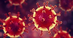 Диагностировали коронавирус: в Днепре умер 65-летний мужчина - рис. 15