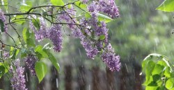 Какая погода будет в Днепре 5 мая - рис. 21