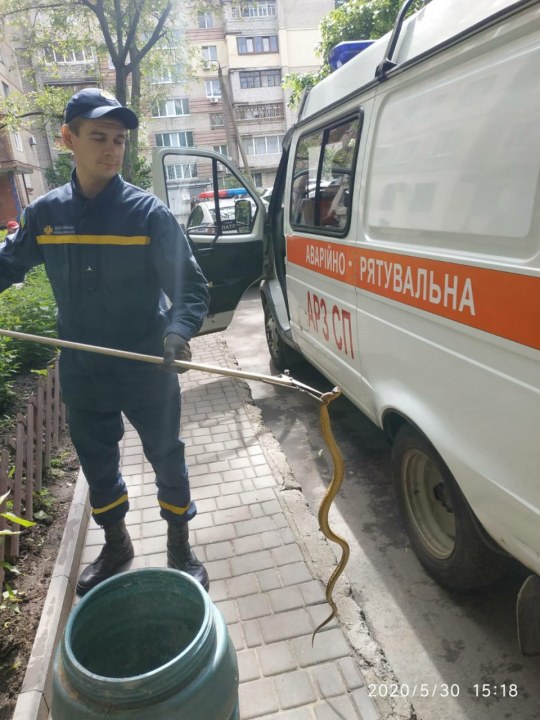 Выгуливал змею Днепр