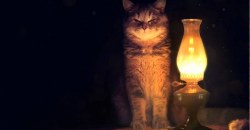Выходной без электричества: завтра в Днепре планируют отключения света - рис. 12