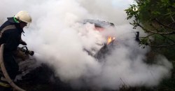 Пожар в пути: под Днепром до тла сгорела легковушка Chevrolet (ФОТО) - рис. 11