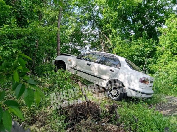 ДТП в Днепре на Кротова: машину занесло в кусты - рис. 1