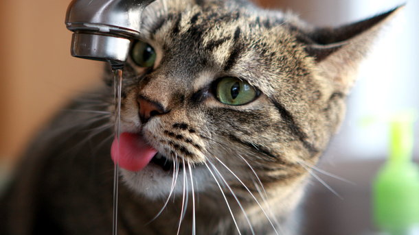 Почему на Победе пропала вода: когда дадут