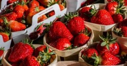Ціни на овочі та фрукти в Дніпрі: чого чекати мешканцям міста - рис. 12