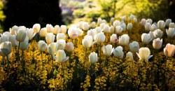 Какая погода будет в Днепре 4 мая - рис. 1