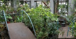 Дождались: в Днепре открывается Ботанический сад ДНУ - рис. 1