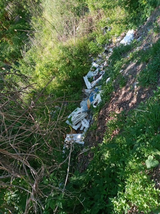 Сотни шприцов и горы хлама: на ж/м Парус настоящая мусорная катастрофа
