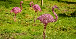 Розовый фламинго в парке и колобки на Набережной: ТОП-5 хороших новостей этой недели - рис. 20
