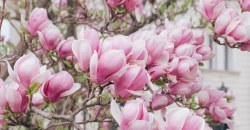 Какая погода будет в Днепре 7 мая - рис. 19