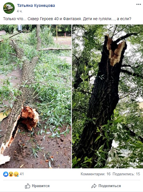 Упало дерево Днепр