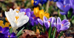 Какая погода будет в Днепре 3 мая - рис. 2