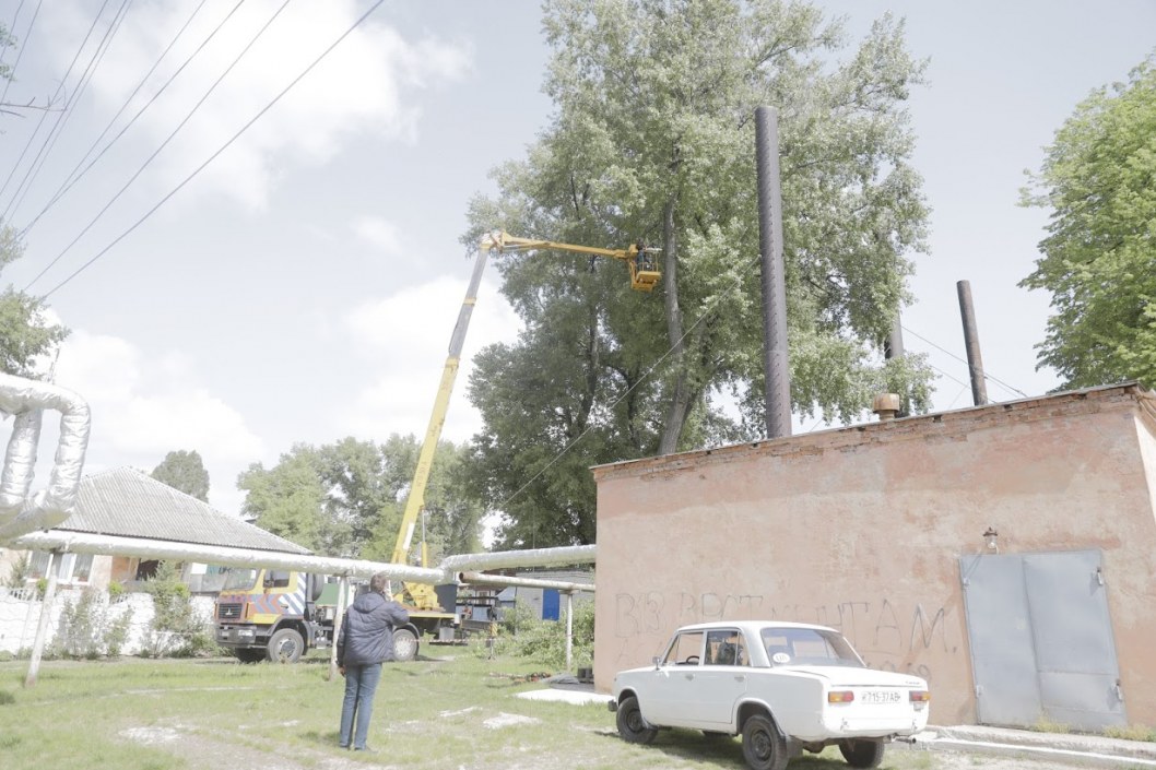 В Днепре 2 дня боролись с огромным тополем (ФОТО, ВИДЕО) - рис. 1