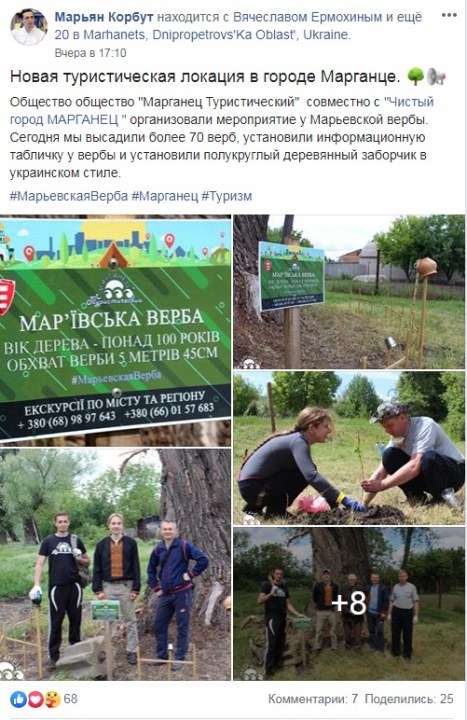 Марьевская верба
