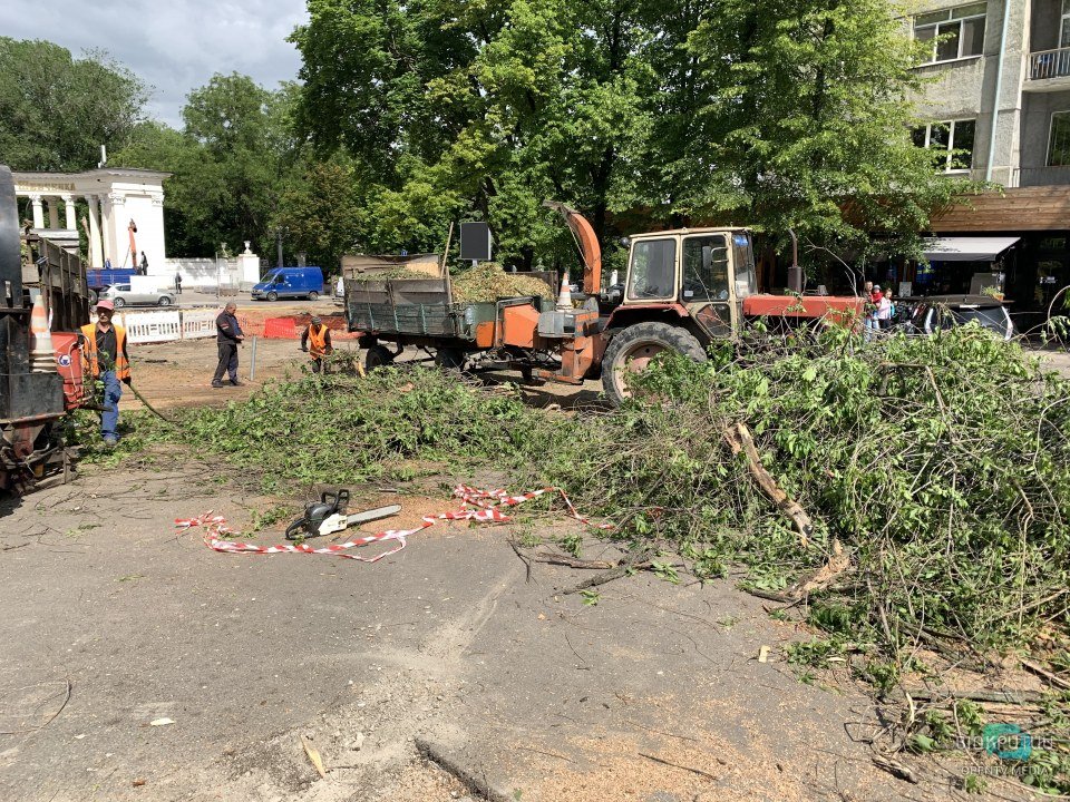 В Днепре на улице Яворницкого массово пилят деревья (ФОТО)