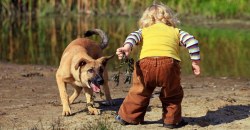Дети против собак: в Днепре не поделили специальную площадку (ФОТО) - рис. 6