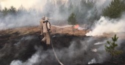 ВІДЕО: Пожежі та пилові бурі на Дніпропетровщині: чому це відбувається - рис. 3