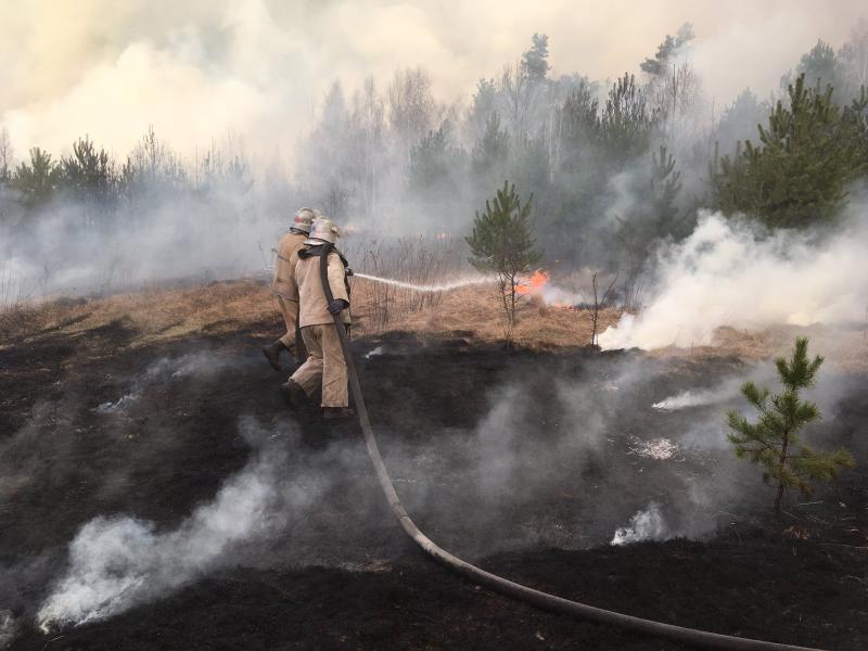 ВІДЕО: Пожежі та пилові бурі на Дніпропетровщині: чому це відбувається - рис. 1