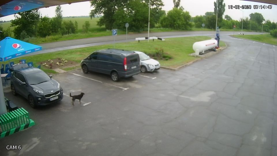 Заправка