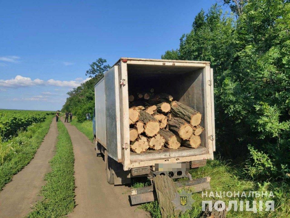 В Кривом Роге полиция задержала мужчину, который занимался незаконной вырубкой деревьев