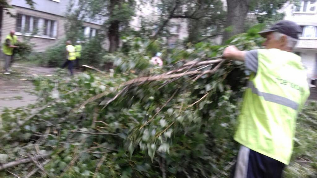 Поваленные деревья и оборванные провода: в Днепре продолжают ликвидировать последствия вчерашней непогоды (ФОТО) - рис. 5