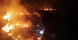 Опять пожары: на Днепропетровщине горели леса (ФОТО) - рис. 2