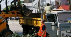 Поваленные деревья и оборванные провода: в Днепре продолжают ликвидировать последствия вчерашней непогоды (ФОТО) - рис. 1