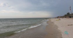 Не поплаваешь: на Азовском море массовое нашествие медуз (ФОТО, ВИДЕО) - рис. 15