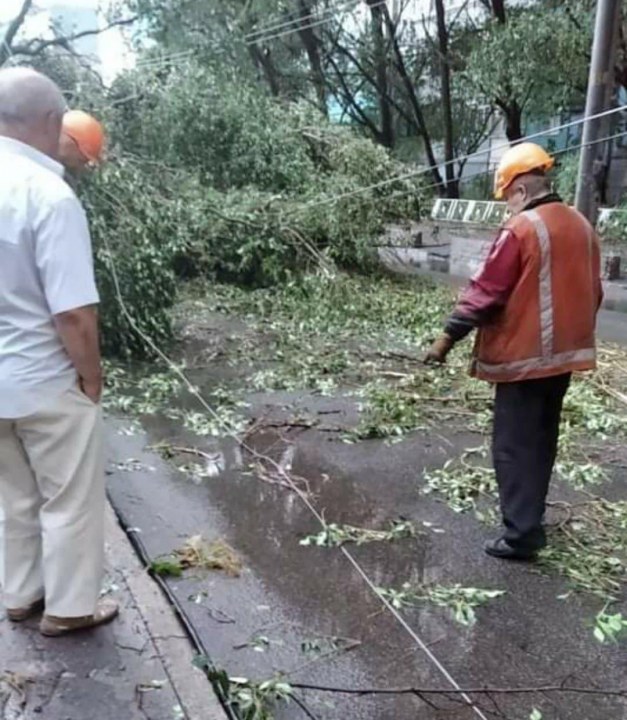 Поваленные деревья и оборванные провода: в Днепре продолжают ликвидировать последствия вчерашней непогоды (ФОТО) - рис. 7