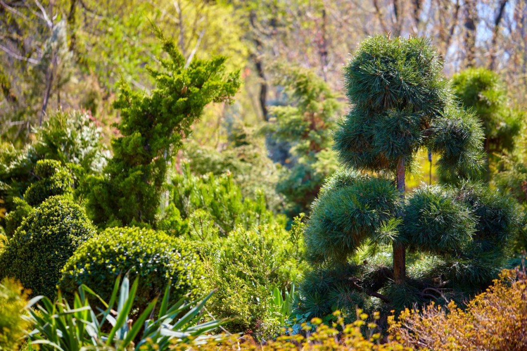 Какая погода будет в Днепре 13 июня - рис. 1