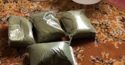 Семейный бизнес: в Никополе отец и сын выращивали марихуану в теплице (ФОТО, ВИДЕО) - рис. 1