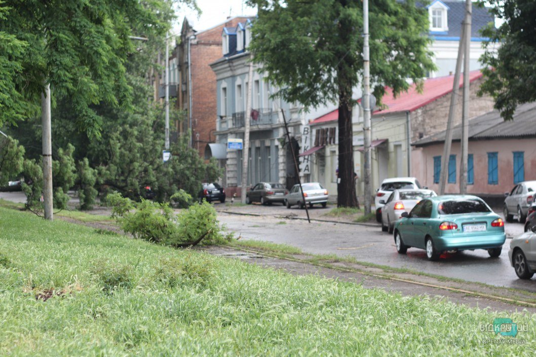 Стихия в Днепре: на Пушкина упавшее дерево перегородило проспект, оборвало провода и парализовало транспорт (ФОТОРЕПОРТАЖ) - рис. 6
