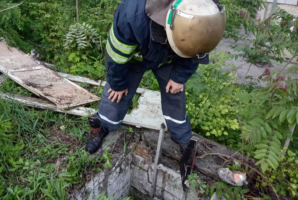 В Каменском пёс провалился в 3-х метровый погреб