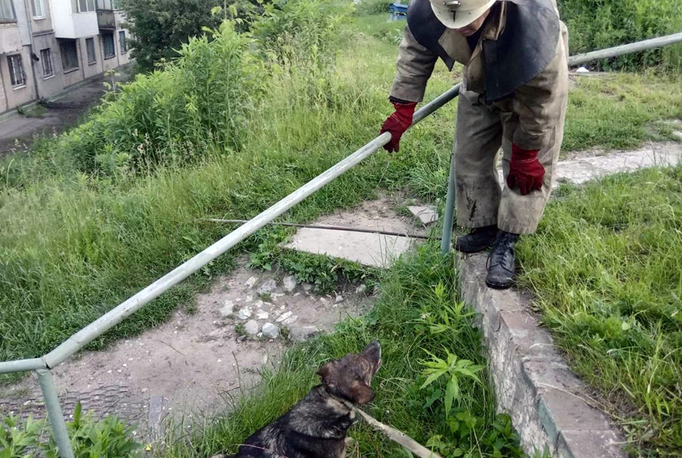 В Каменском пёс провалился в 3-х метровый погреб