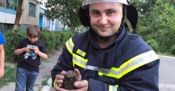 Хорошие новости: в Каменском пожарные спасли жизнь ёжику (ФОТО, ВИДЕО) - рис. 22