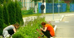 В Павлограде подростков отправят убирать город - рис. 10