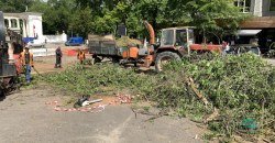 Реконструкция Яворницкого: вырубку деревьев согласовали с госэкспертизой и областной экологической комиссией - рис. 9