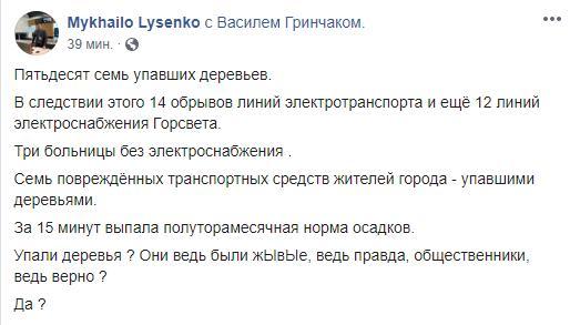 Лысенко рассказал о последствиях бури в Днепре: 57 упавших деревьев и обесточенные больницы - рис. 1