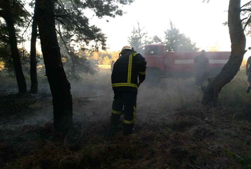 Пожар в лесу: возле Петриковки загорелась сухая трава - рис. 1