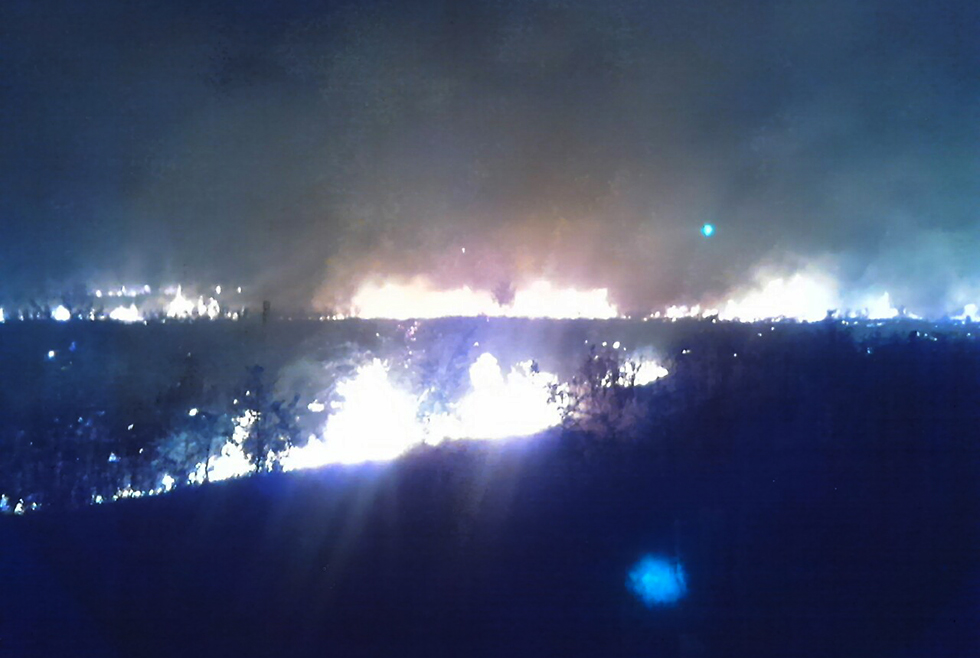 Ночной пожар: в Марганце горело 5 гектаров леса - рис. 2