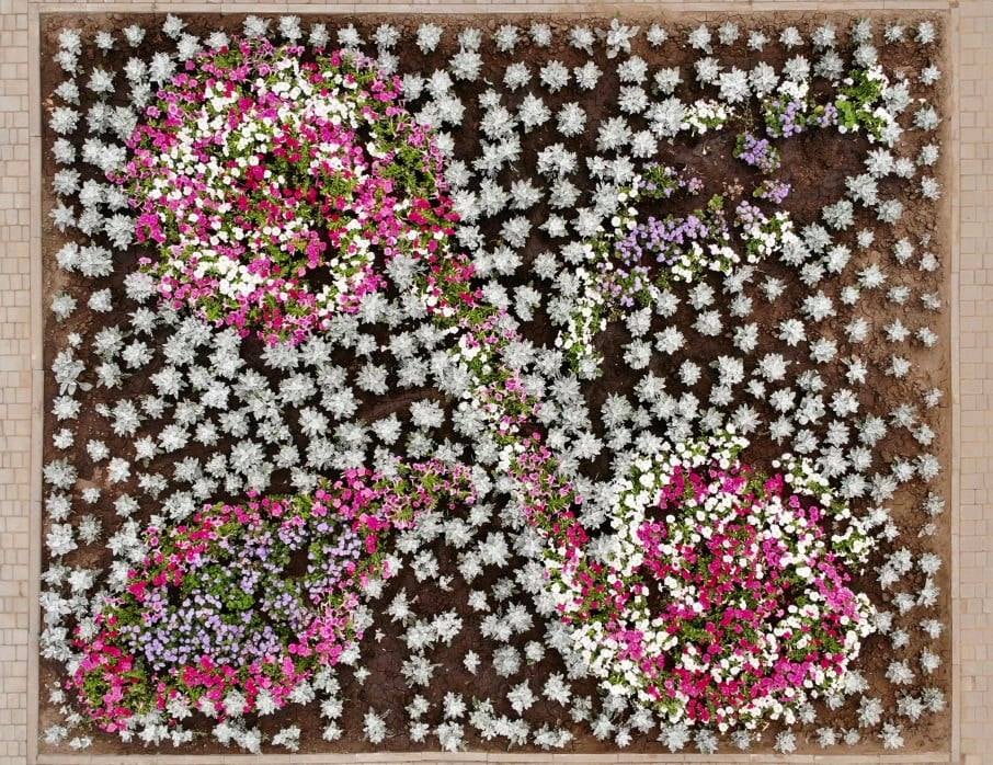 В парках Покрова создали уникальные цветочные клумбы (ФОТО) - рис. 3