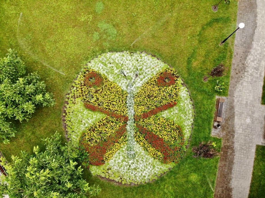 В парках Покрова создали уникальные цветочные клумбы (ФОТО) - рис. 4