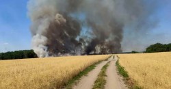 Дым стеной: возле Царичанки спасатели тушили пшеничное поле - рис. 8