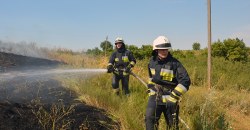 Выгорело несколько гектаров травы: возле Днепра тушили пожар (ФОТО, ВИДЕО) - рис. 15