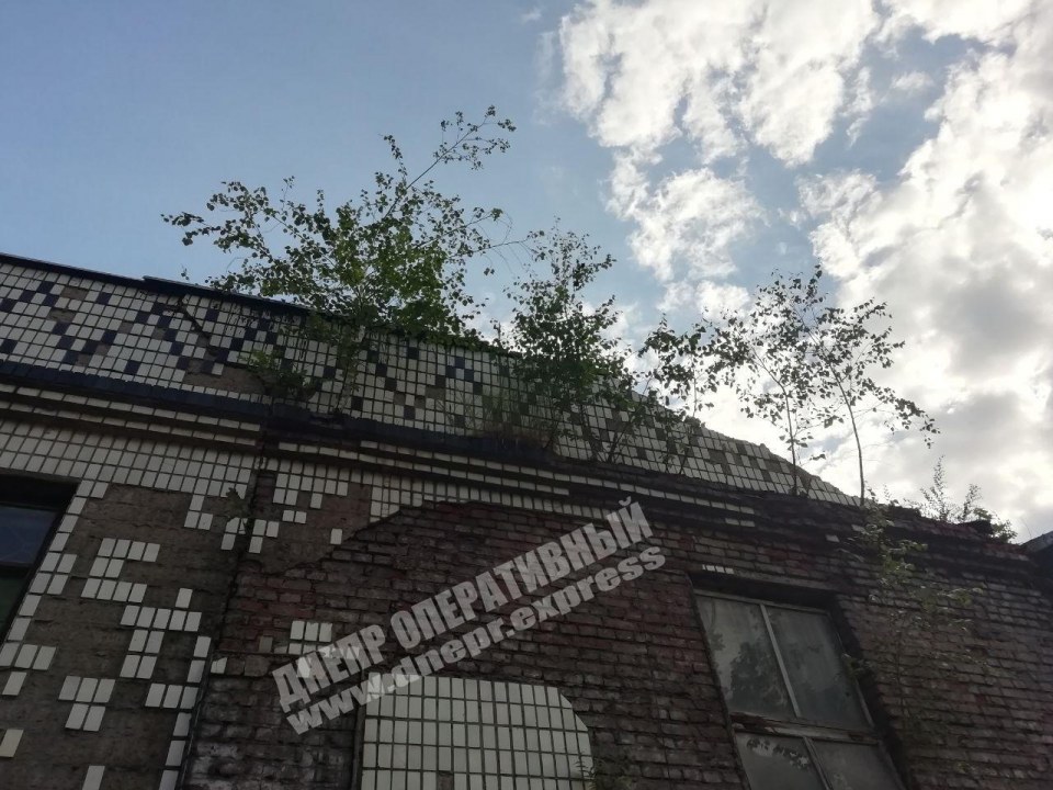 В Днепре на Драгоманова обвалился фасад заброшенного здания - рис. 4