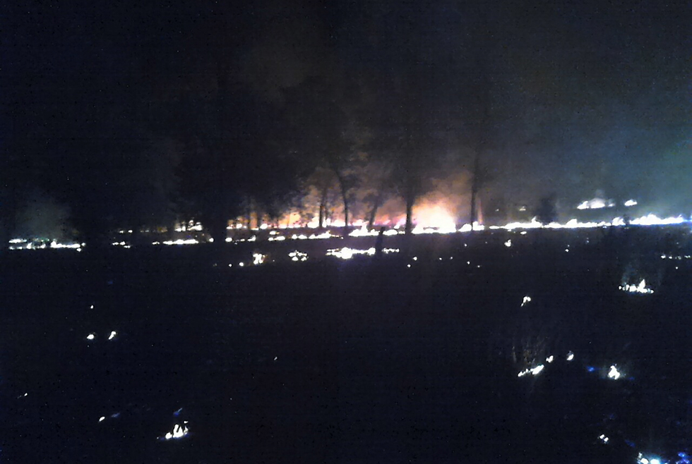 Ночной пожар: в Марганце горело 5 гектаров леса - рис. 1