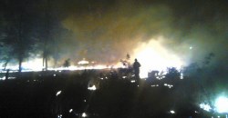Ночной пожар: в Марганце горело 5 гектаров леса - рис. 18