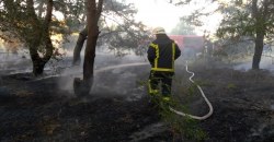 Пожар в лесу: возле Петриковки загорелась сухая трава - рис. 19